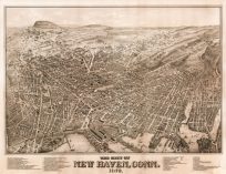 Bird's-eye View of New Haven