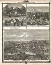 Bird's-eye View of Red Oak