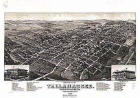 Bird's-eye View of Tallahassee