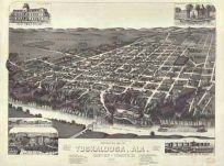 Bird's-eye View of Tuskaloosa