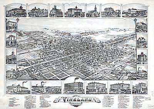 Bird's-eye View of Vineland