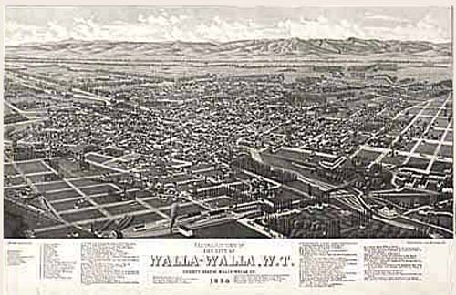 Bird's-eye View of Walla Walla Bird's-eye View of Walla Walla