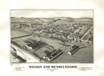 Bird's-eye View of Wilson and Mendelssohn