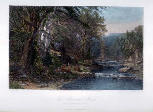 The Adirondack Woods - New York The Adirondack Woods - New York