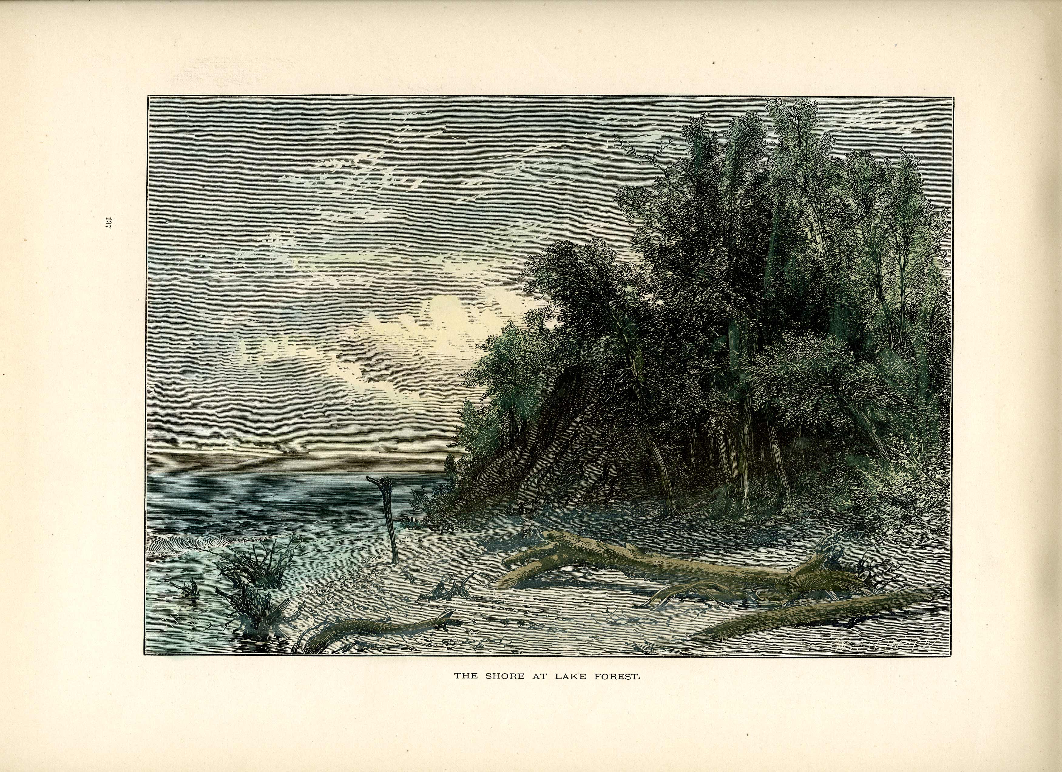 The Shore at Lake Forest The Shore at Lake Forest