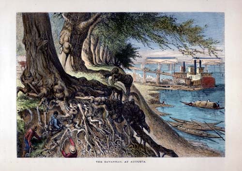 The Savannah at Augusta - Georgia The Savannah at Augusta - Georgia