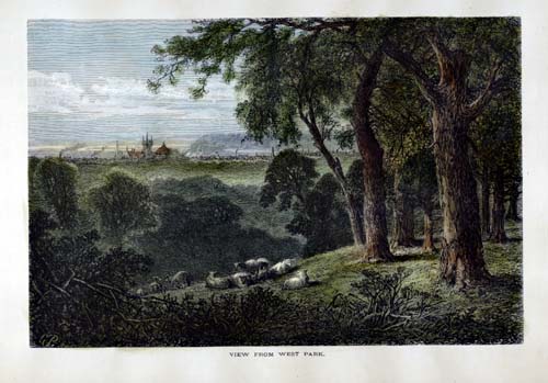 View from West Park