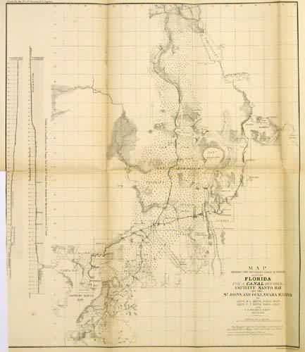 Map Showing the Different Lines of a Survey Across Florida for a Canal Between Espiritu Santo Bay and the St. Johns and Ocklawaha Rivers