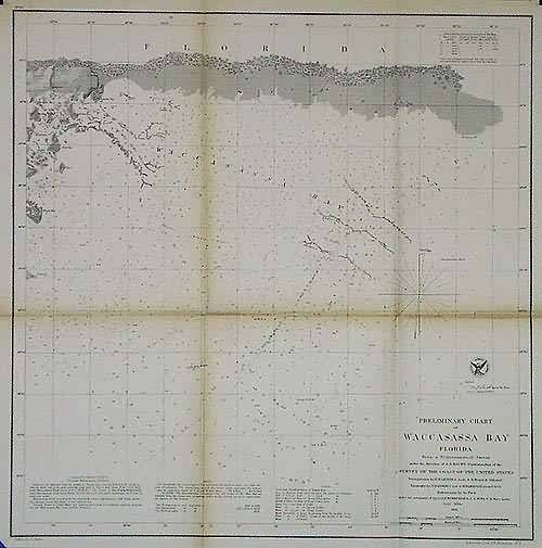 U.S. Coast Survey Preliminary Chart of Waccasassa Bay Florida