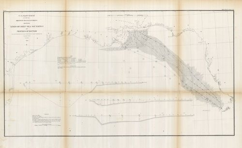 Sketch of the Gulf of Mexico Showing Lines of Deep Sea Soundings and Profiles of Bottom