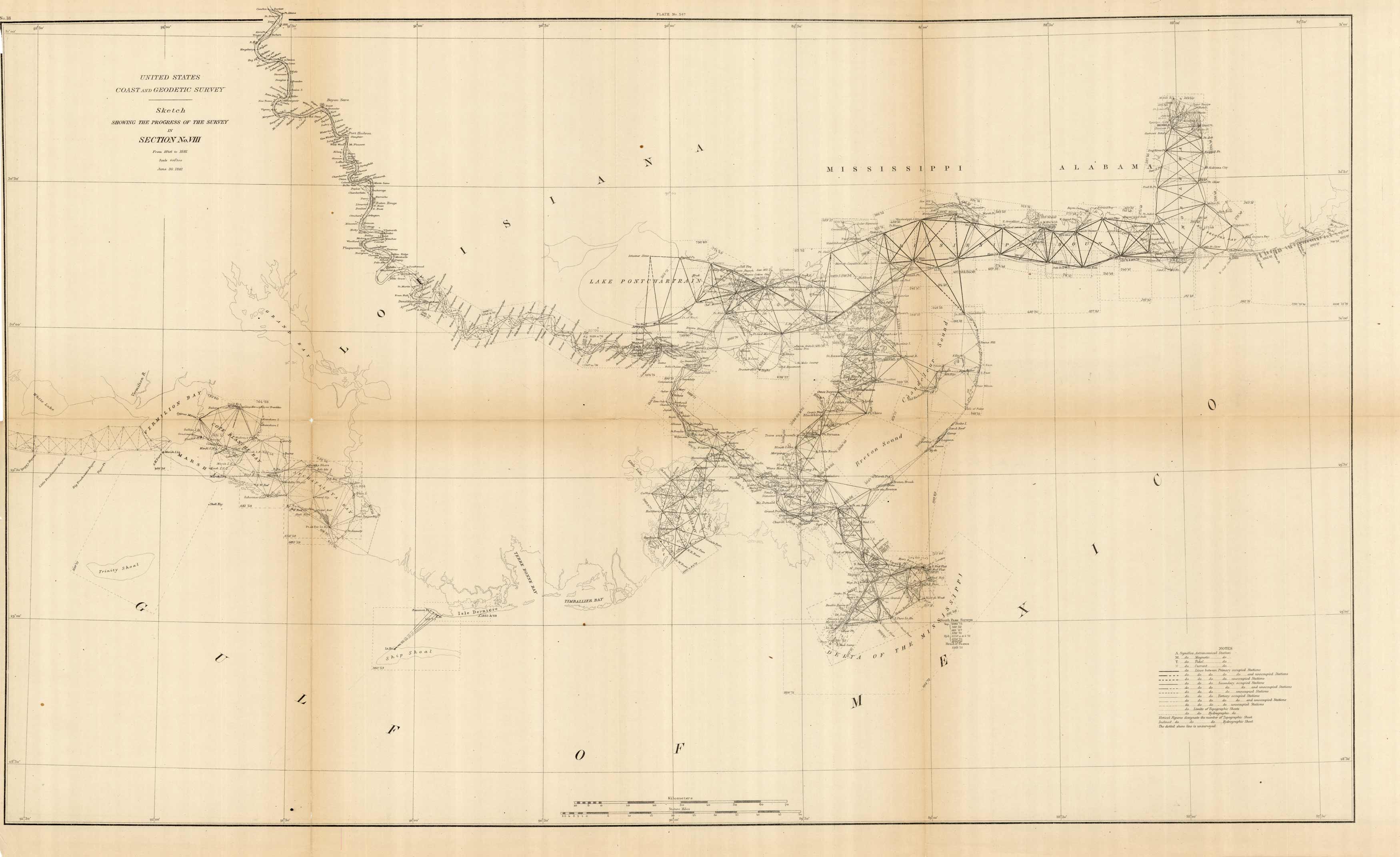 Sketch Showing the Progress of the Survey in Section No. VIII