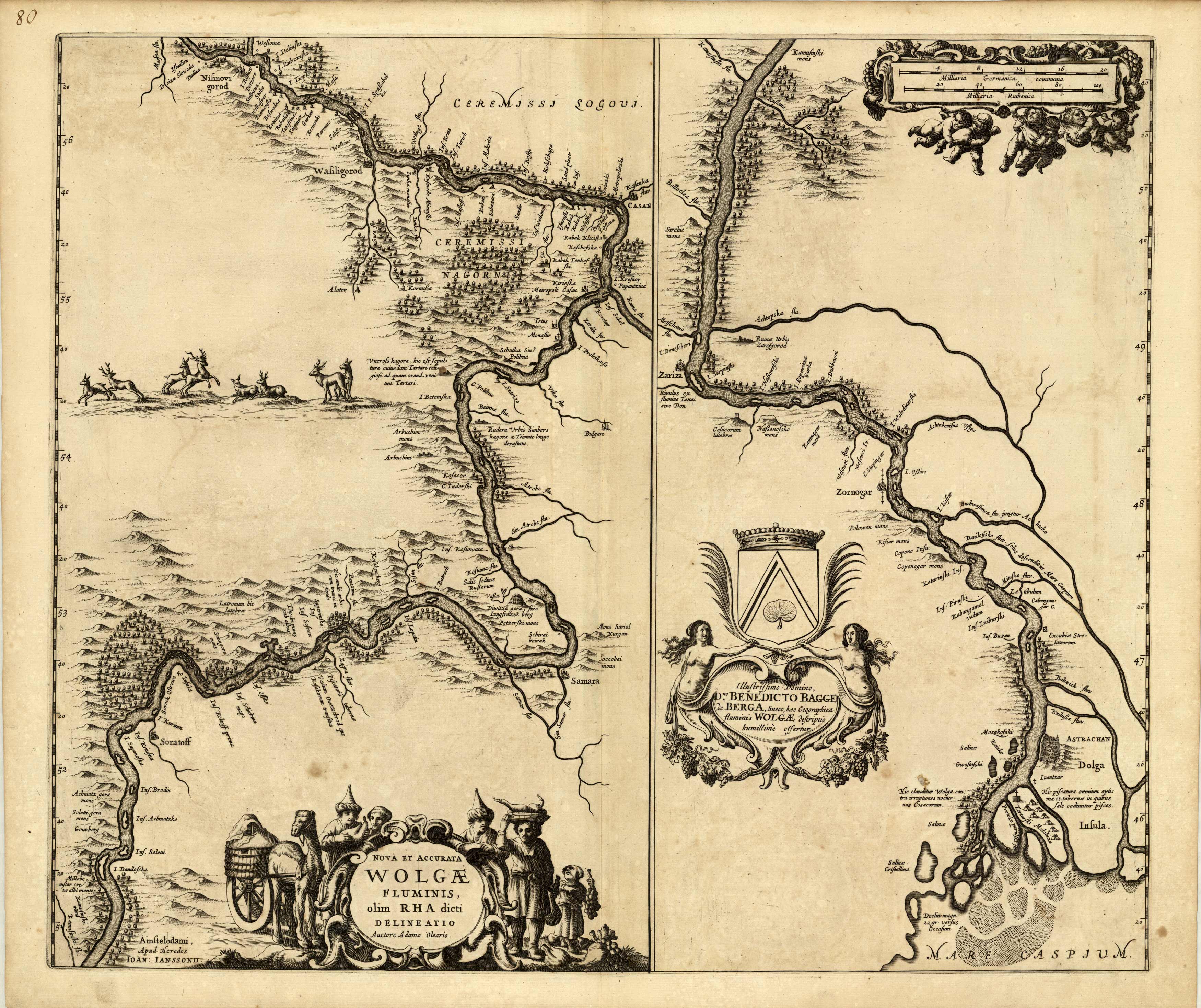 Nova et Accurata Wolgae Fluminis
