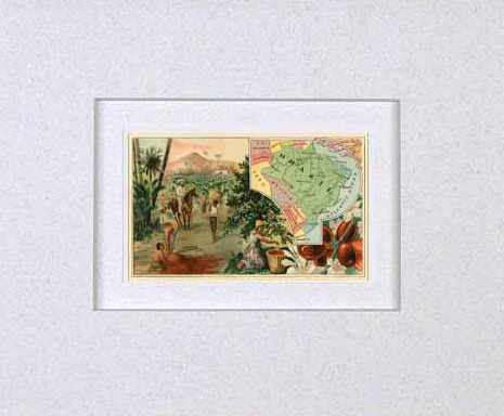 MATTED Arbuckles Coffee Card of Brazil'