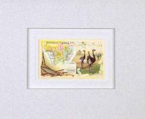 MATTED Arbuckles Coffee Card of Central Africa'