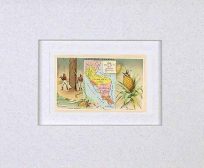 MATTED Arbuckles Coffee Card of Central America (Showing Guatamala