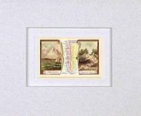 MATTED Arbuckles Coffee Card of Chili'