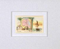 MATTED Arbuckles Coffee Card of Egypt'