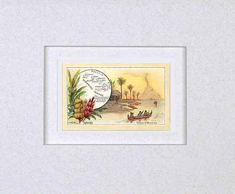 MATTED Arbuckles Coffee Card of Hawaii(Sandwich Islands)' MATTED Arbuckles Coffee Card of Hawaii(Sandwich Islands)'