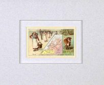 MATTED Arbuckles Coffee Card of Netherlands'