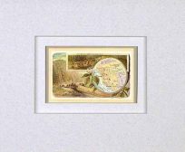 MATTED Arbuckles Coffee Card of Peru'