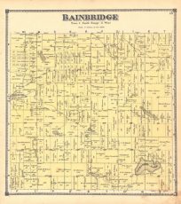 Bainbridge