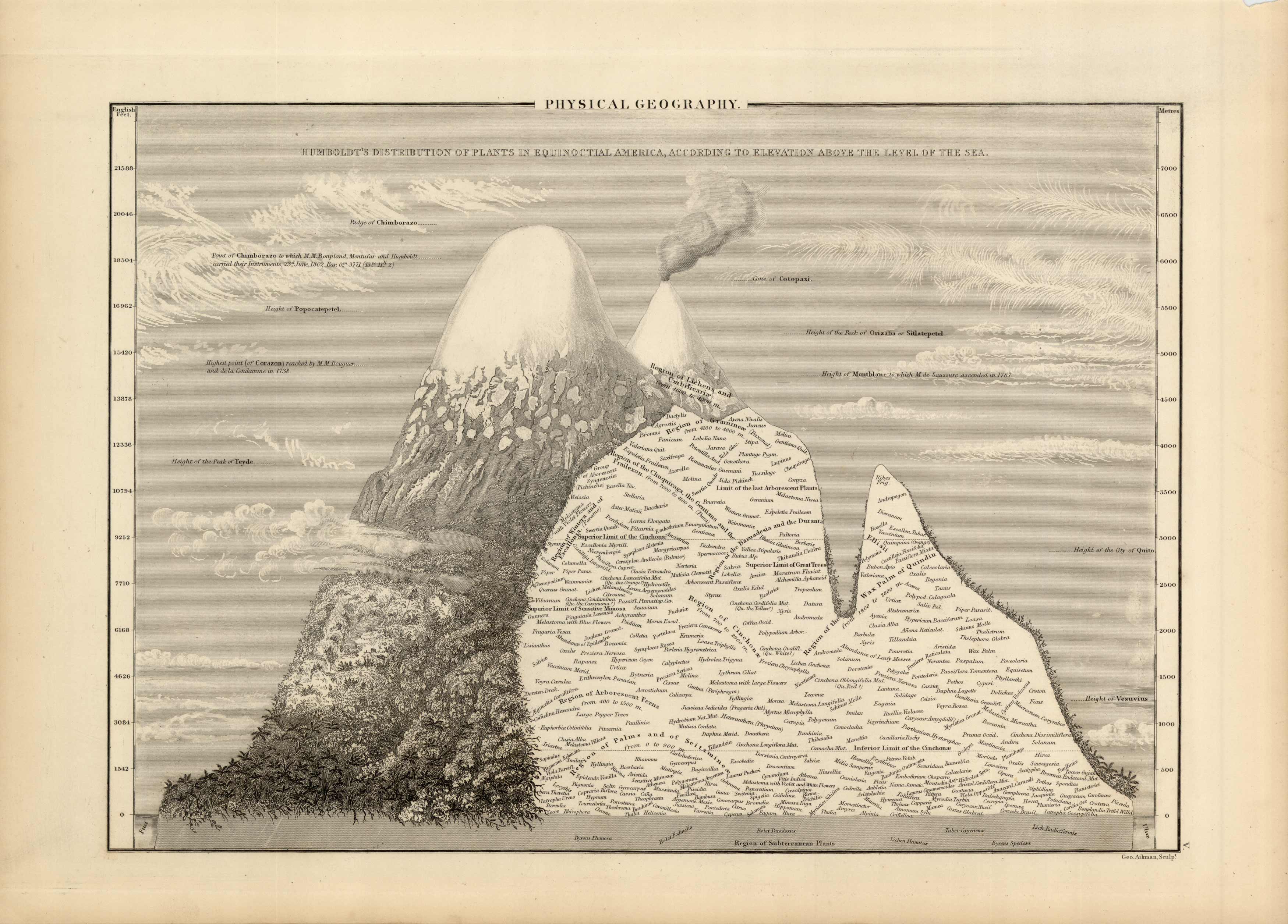 Physical Geography Humboldts Distribution of Plants in Equinoctial America