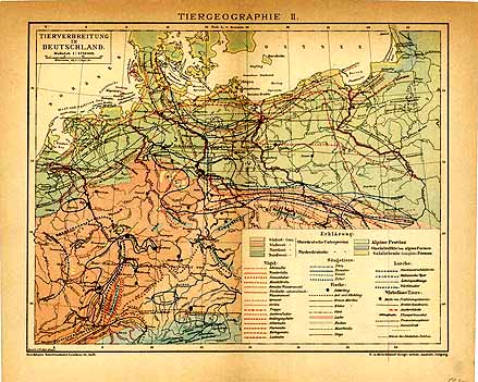Geography and distribution of animals in Germany Geography and distribution of animals in Germany