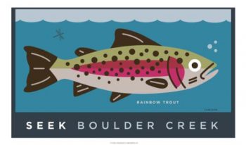 Seek Boulder Creek