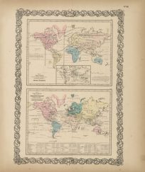 The Principal Members of the Animal Kingdom