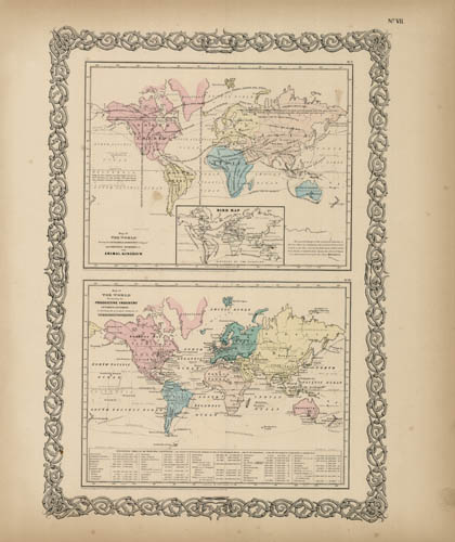 The Principal Members of the Animal Kingdom