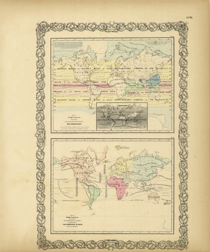 Map of the Principal Features of Meteorology and Map of the World Showing Principal Plant Distribution