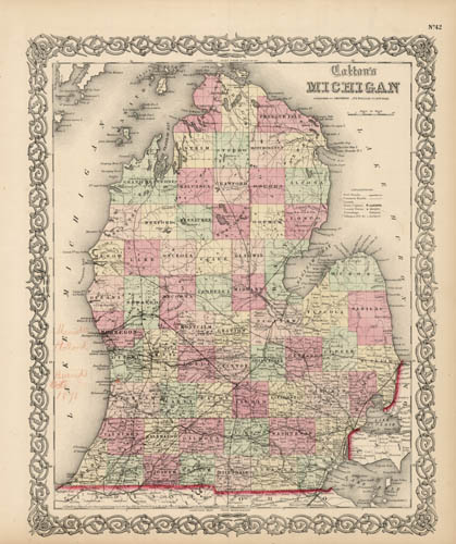 Coltons Michigan' Coltons Michigan'