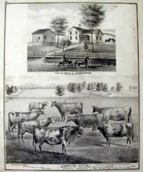 Residence of Uriah L. Underwood and Views of Cattle