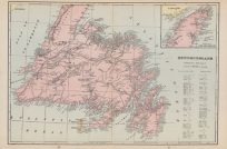 Newfoundland
