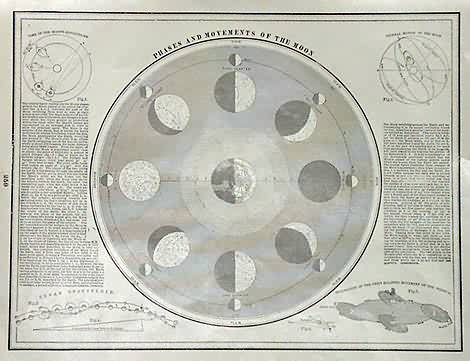 Phases and Movements of the Moon