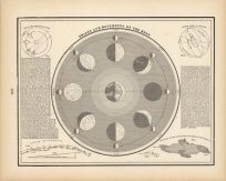 Phases and Movements of the Moon