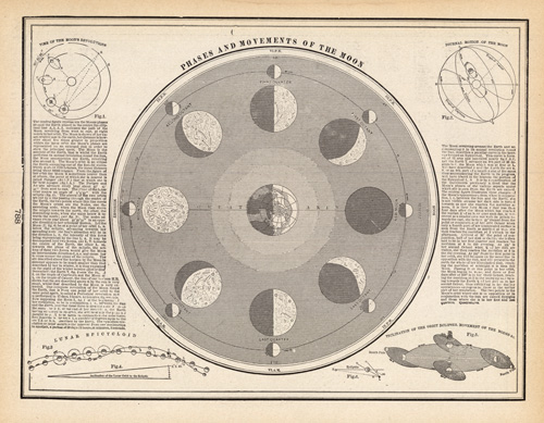 Phases and Movements of the Moon