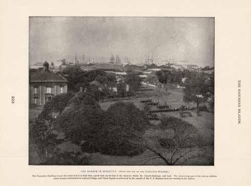 The Harbor of Honolulu (From the top of the Executive Building)