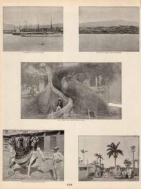 Shipping in San Juan. San Juan as seen from the Harbor. The Curious Silk Cotton Tree of Cuba. A Native Fruit Seller in Havana.