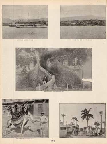 Shipping in San Juan. San Juan as seen from the Harbor. The Curious Silk Cotton Tree of Cuba. A Native Fruit Seller in Havana.