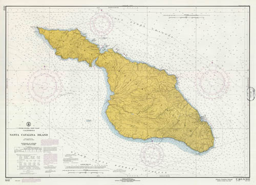 United States - West Coast - California - Santa Catalina Island