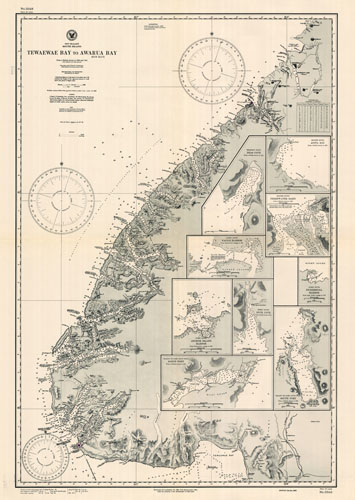 New Zealand - Tewaewae Bay to Awarua Bay - Deas Cove