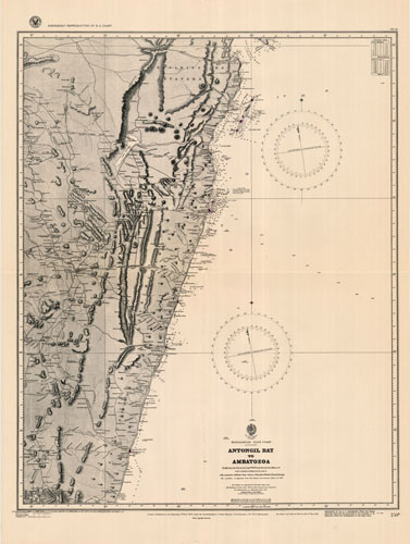 Madagascar - Antongil Bay to Ambatozoa Madagascar - Antongil Bay to Ambatozoa
