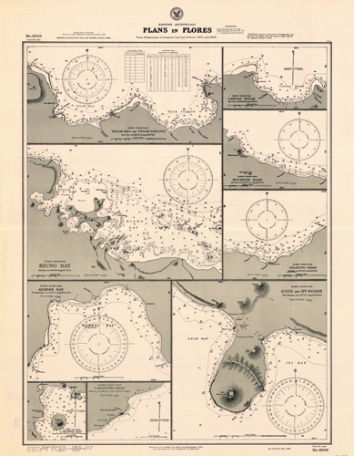 Eastern Archipelago - Plans in Flores - Telok Reo and Telok Linggeh - Riung Bay - Aemere Bay - Konga Bay - Larantuka Road - Ende and Ipi Roads - Maumere Road Labuan Potah