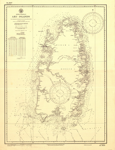 Eastern Archipelago - Aru Islands