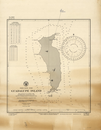 Mexico - North Pacific Ocean - Guadalupe Island