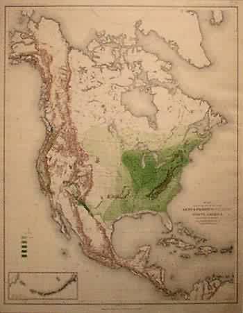 Map Showing the Distribution of the Genus Fraxinus (the Ashes) in North America Map Showing the Distribution of the Genus Fraxinus (the Ashes) in North America
