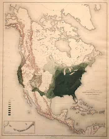 Map Showing the Natural Distribution of the Genus Quercus (The Oaks) in North America Map Showing the Natural Distribution of the Genus Quercus (The Oaks) in North America