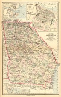 Georgia with insets of Savannah