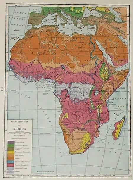 Vegetation Map of Africa